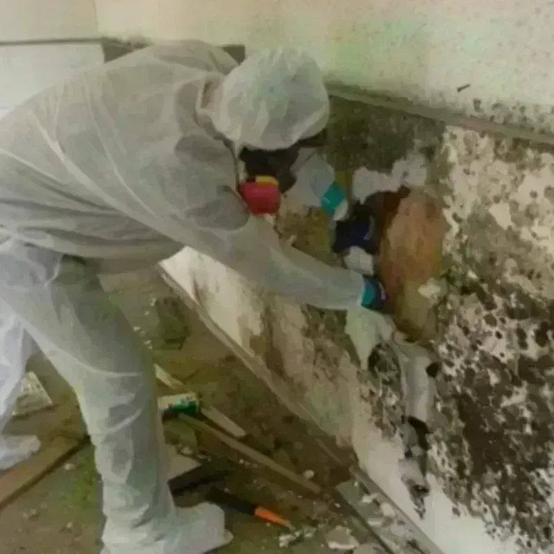 Mold Remediation and Removal in Lancaster County, NE